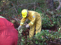 2010 fall Training